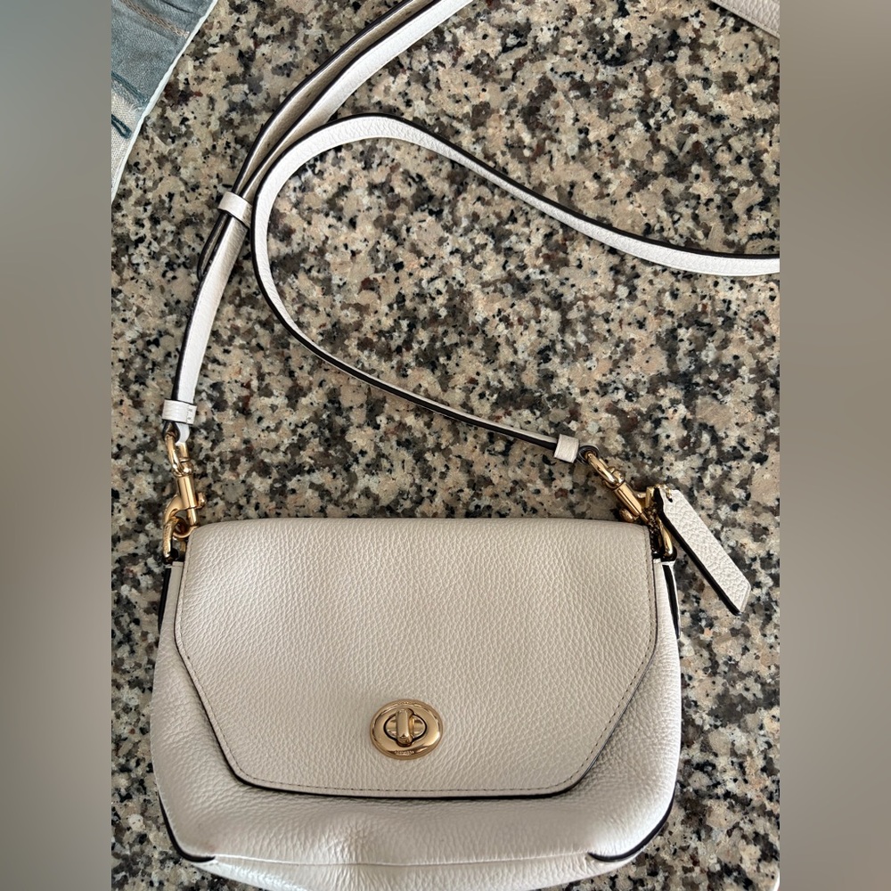 Coach Brown Interior Bag